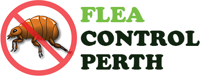 Flea Control Perth 